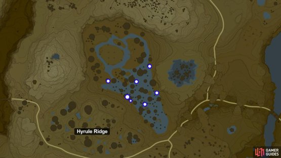 Swift Violet locations at Hyrule Ridge.