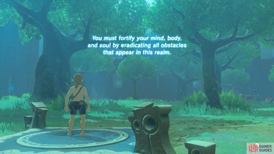 We hope you enjoy seeing naked Link!