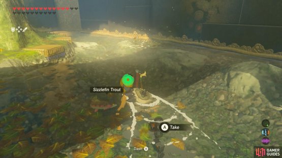 Similarly, catch the three Sizzlefin Trouts in the pond.