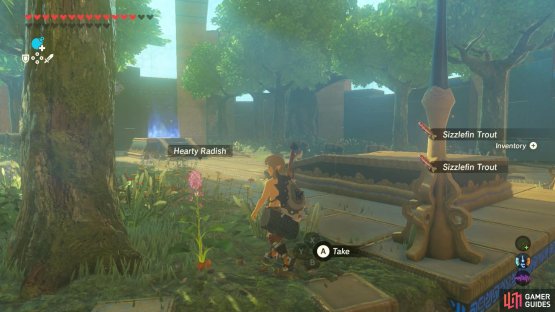 Also, there&rsquo;s a Hearty Radish to the left of the entrance.
