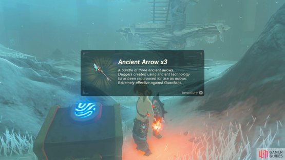Inside is a chest with the final set of Ancient Arrows.