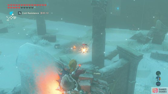 Snipe the Blue Bokoblins, since they have less HP.