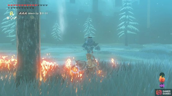 If the tall grass catches on fire (from using the Meteor Rod etc.)&hellip;