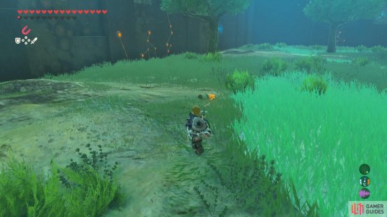 It&rsquo;s not terribly important, but there&rsquo;s a buried chest near one of the perimeter walls.