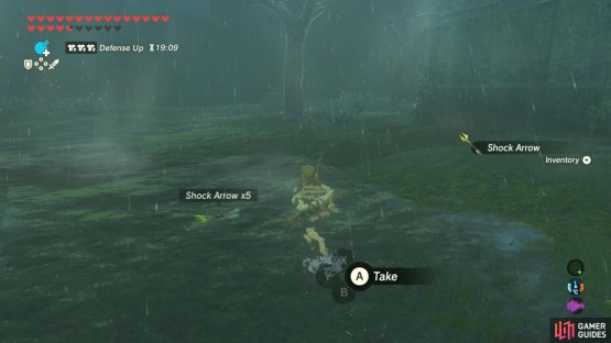 Inside, you&rsquo;ll find some Shock Arrows.