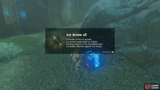 Also, grab the 5 Ice Arrows from the buried chest.