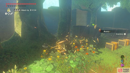If you don&rsquo;t have a Korok Leaf, destroy the trees until one drops.