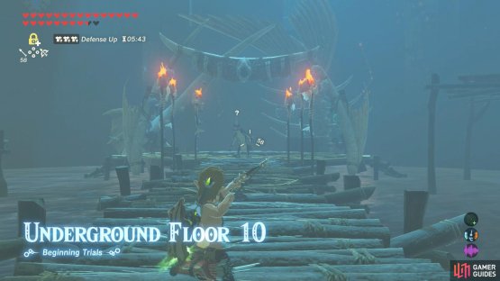 As soon as you enter, ready your bow (or Stasis/Cryonis).