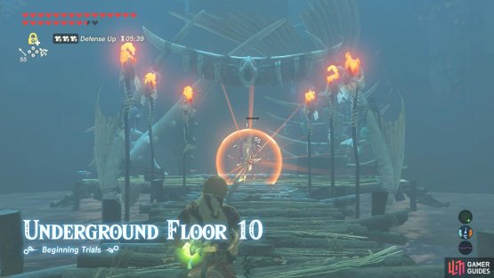 Your aim is to eliminate the Blue Lizalfos in front, before it warns its allies.