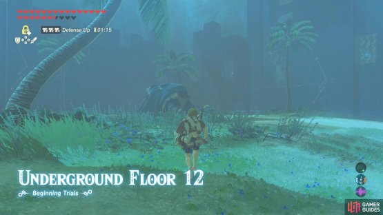 Your objective is to eliminate a Blue Hinox.
