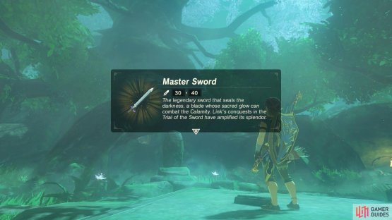 On your first completion of the trial, the Master Sword&rsquo;s power will increase to 40.