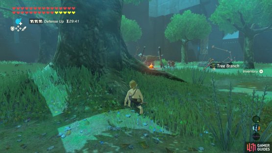 Ahead, there are three Bokoblins sitting by a campfire.