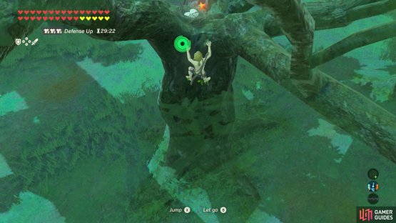 At the top of the tree, grab the two Bird Eggs.