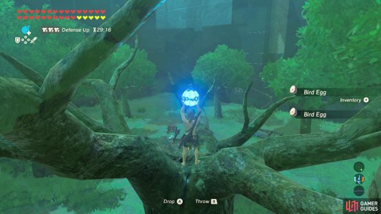 Atop the tree, throw a bomb into the middle of the camp.