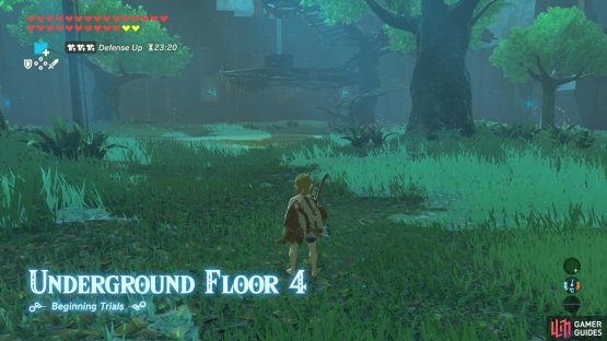 Floor 4 pits you against 7 Bokoblins, including 2 blue ones.