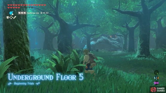 The main attraction of this floor is a skull camp.