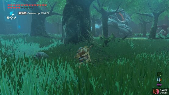 Be careful not to let the Moblin outside the camp spot you.