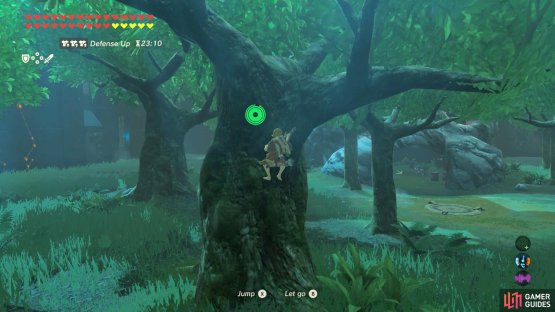 Swiftly climb up one of the thick trees near a Moblin.