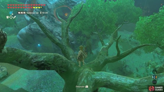 To avoid being seen, roll a bomb from atop a tree.