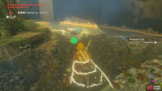 Be sure to grab the Armored Carp from the pond.