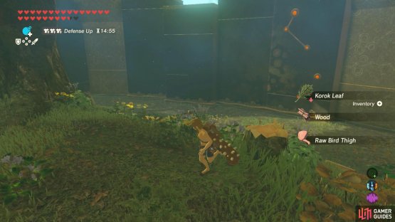 Also, blow up the trees and hope for a Korok Leaf drop.
