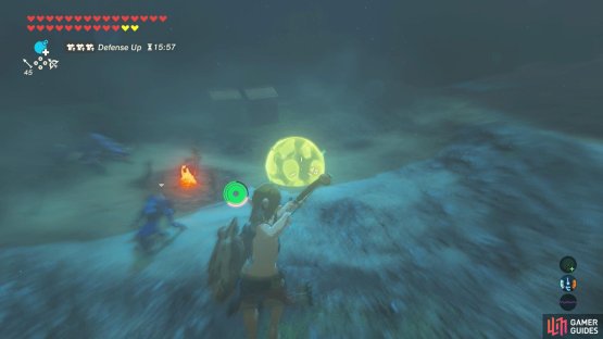 Glide down and shoot the Electric Chuchu first to zap the Lizalfos.