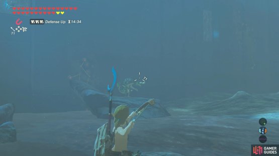 From here, just two weaker Lizalfos remain.