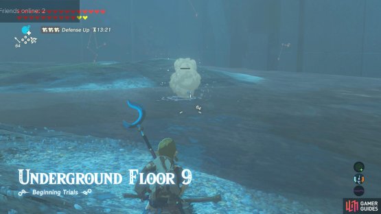 Quickly kill the Octorok on the right with arrows/bombs.