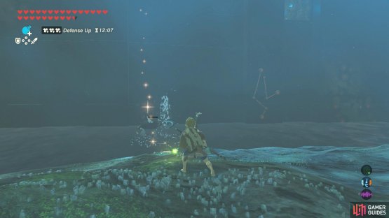 Once the Wizzrobe is dead, grab its weapon.