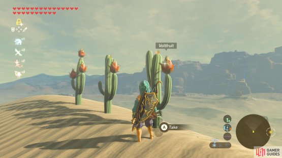 Keep your eyes peeled for these cacti.