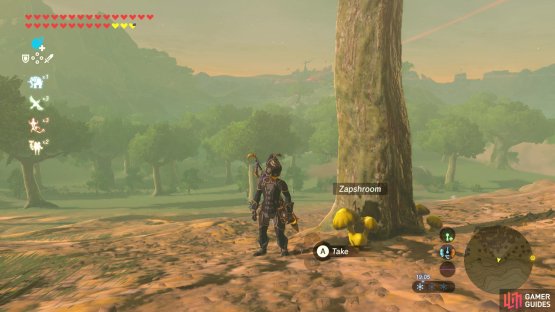 There are several Zapshrooms near the cliff.