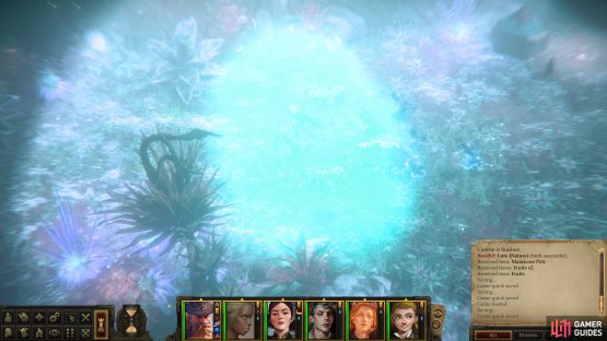 With the Magical Lantern equipped you can pass through the mist without teleporting.