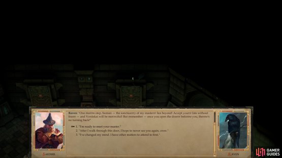 You&rsquo;ll be bothered by the raven once again when you enter Vordakai&rsquo;s Tomb.