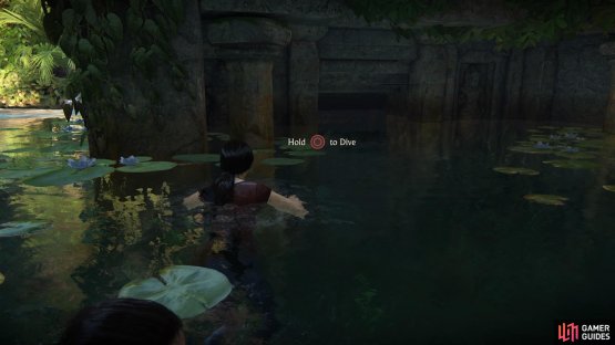 Dive under the water