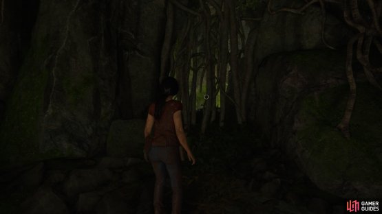 At the top, push the branches out of the way