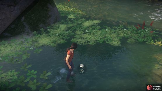 Treasure #8 is behind it in the water