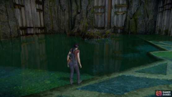 Swim to the rocks on the right side of the room