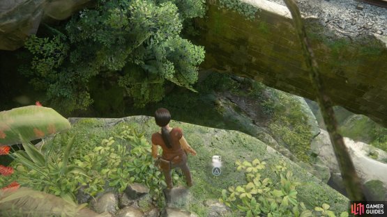 At the top, go forward to spot the treasure