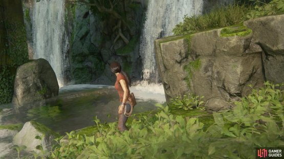 Dive to the back of the pool