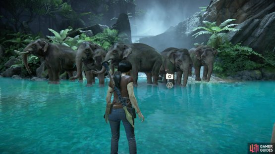 Stand in front of the elephant herd
