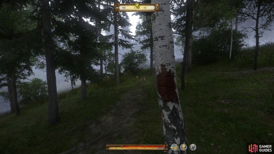 The birch tree is one of few in the region, so it should stand out amongst the darker trees.