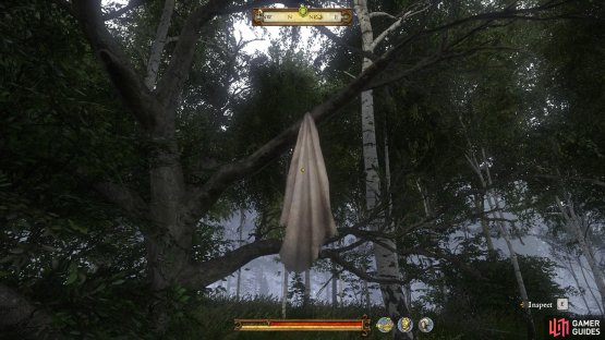 The clothing item can be found hanging from a tree near to where you found the horse.