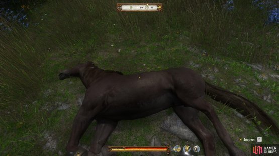 The dead horse should be easy to spot in the grass once you&rsquo;re standing beside the outhouse.