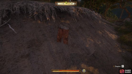 Locate the trousers beside a sand bank in the woods.