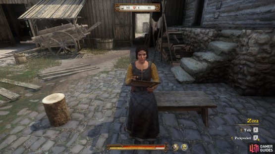Speak with Zora and ask her if there is any work going.