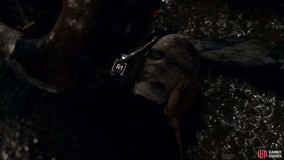 Find the head on the left for Markus&rsquo; new eye