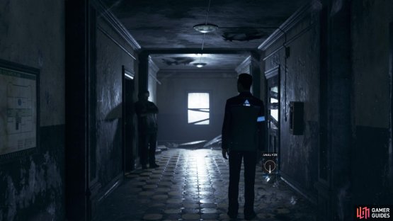 Analyse the feathers in the hallway