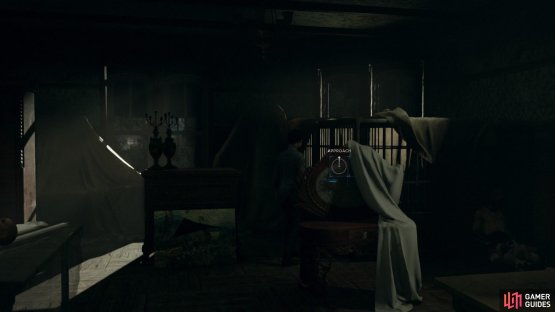 Find the cage at the back of the storage room