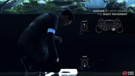Save or leave the fish