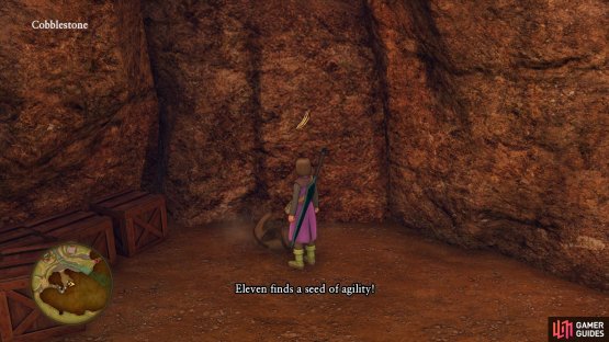 You can find a useful Seed of Agility in the cave overlooking Cobblestone